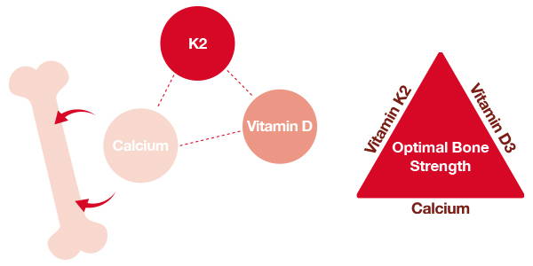 How Vitamin D and Vitamin K2 Work Together | BetterYou